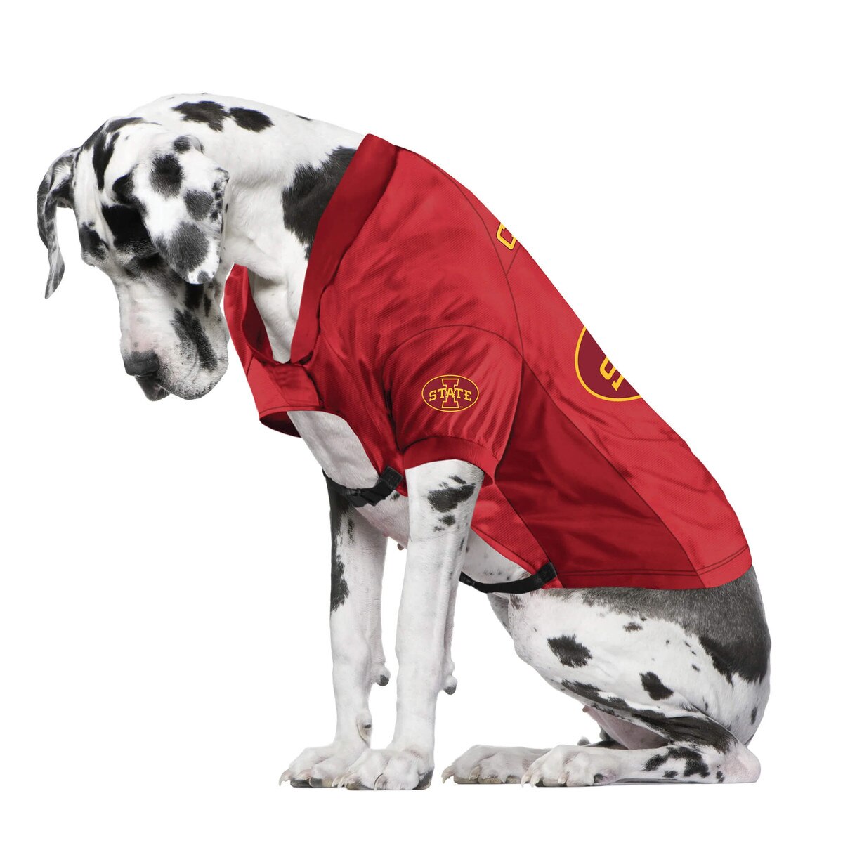 Little Earth Cardinal I-State Pet Stretch Jersey